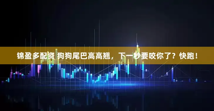 锦盈多配资 狗狗尾巴高高翘，下一秒要咬你了？快跑！