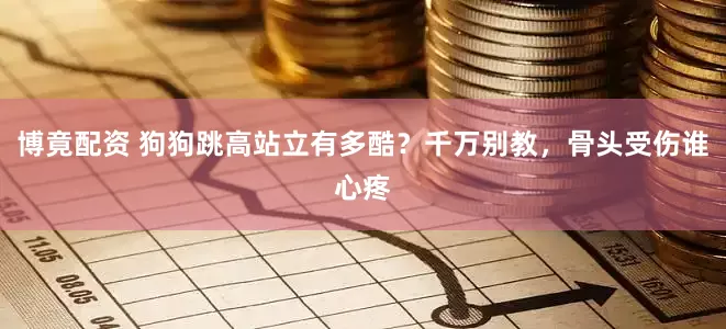 博竟配资 狗狗跳高站立有多酷？千万别教，骨头受伤谁心疼