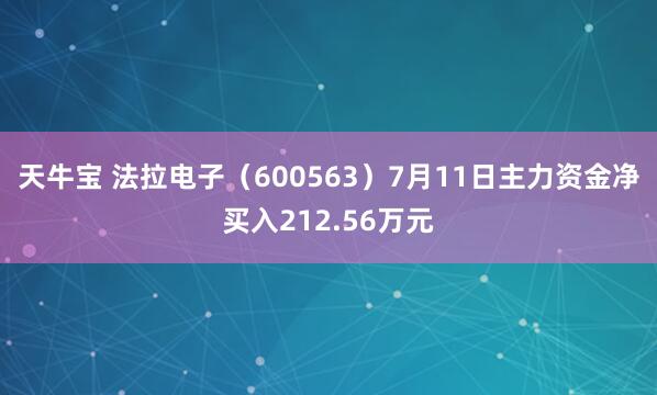 天牛宝 法拉电子（600563）7月11日主力资金净买入212.56万元