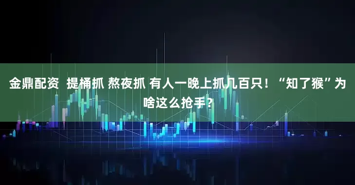 金鼎配资  提桶抓 熬夜抓 有人一晚上抓几百只！“知了猴”为啥这么抢手？