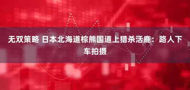 无双策略 日本北海道棕熊国道上猎杀活鹿：路人下车拍摄