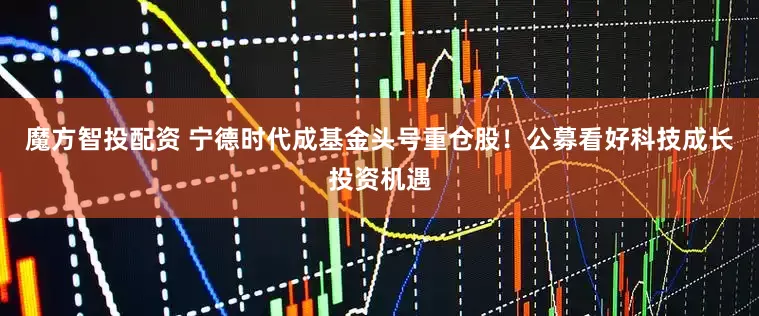 魔方智投配资 宁德时代成基金头号重仓股！公募看好科技成长投资机遇