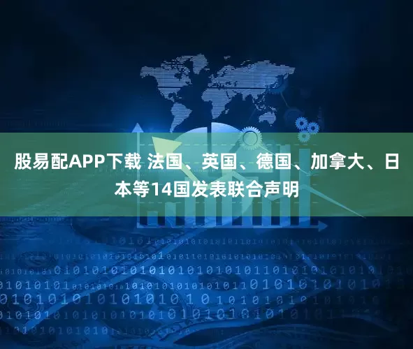 股易配APP下载 法国、英国、德国、加拿大、日本等14国发表联合声明